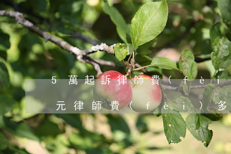 5萬起訴律師費(fèi)多少錢(起訴5萬元律師費(fèi)多少錢)
