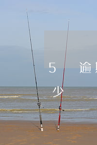 5萬逾期一年利息多少(5萬逾期一年利息多少)