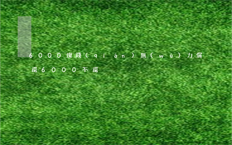 6000塊錢(qián)無(wú)力償還(6000不還)