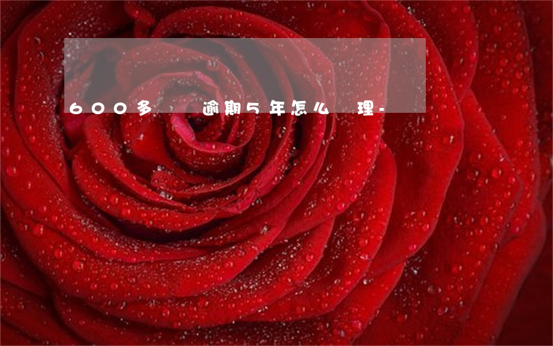 600多塊錢逾期5年怎么處理-