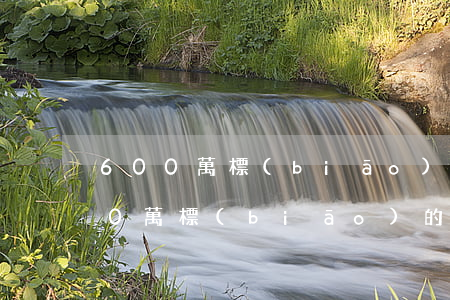 600萬標(biāo)的訴訟費多少(600萬標(biāo)的訴訟費多少錢)