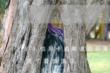 60信用卡逾期還款后果(信用卡逾期60天還了最低還款)