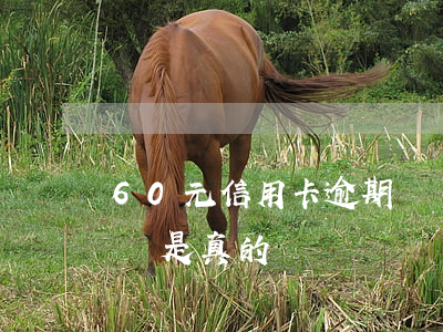 60元信用卡逾期視頻(60元信用卡逾期視頻是真的嗎)