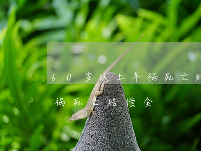60岁以上车祸死亡赔偿表(六十多岁老人车祸死亡赔偿金)