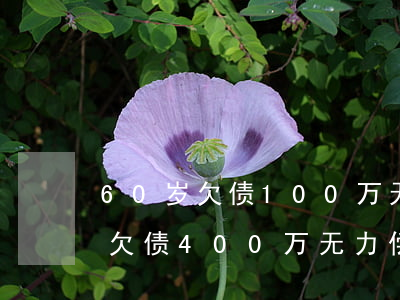 60岁欠债100万无力偿还怎办-60岁欠债400万无力偿还怎办