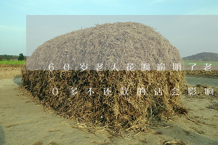 60岁老人花呗逾期了(老年人花呗欠款800多,不还款的话会影响后代吗)