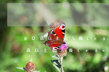 60歲以上老人養(yǎng)老保險(60歲以上老人養(yǎng)老保險)