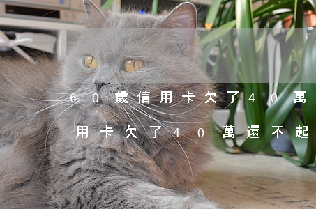 60歲信用卡欠了40萬還不起-60歲信用卡欠了40萬還不起怎么辦