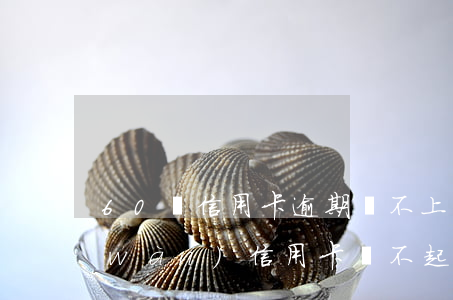 60歲信用卡逾期還不上怎么辦(欠60萬(wàn)信用卡還不起怎么辦)