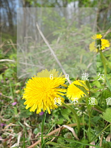 60歲欠銀行錢還不起(60歲老人欠銀行的錢不還會怎么樣)