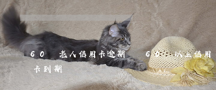 60歲老人信用卡逾期訴訟(60歲以上信用卡到期)