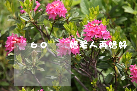 60歲離婚老人再婚好嗎(老年人再婚離婚常見問題)