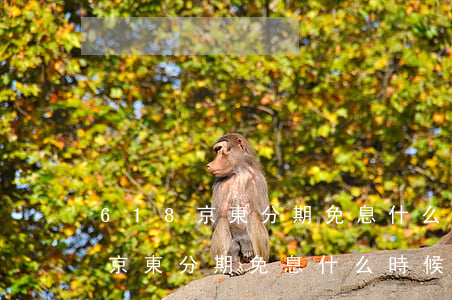 618京東分期免息什么時候開始-618京東分期免息什么時候開始的