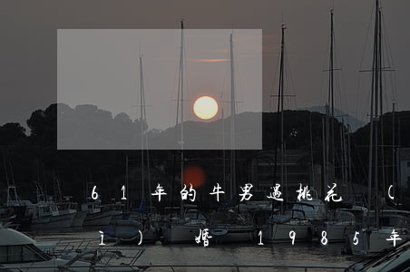 61年的牛男遇桃花運(yùn)會(huì)離婚嗎(1985年的牛桃花運(yùn)在哪年)