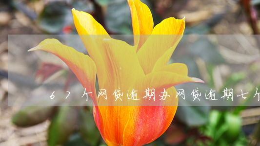 67个网贷逾期办(网贷逾期七个月)