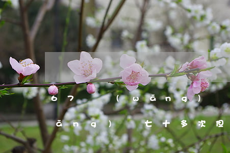 67個網(wǎng)貸逾期怎么辦(網(wǎng)貸七十多次但未逾期)