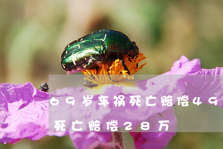 69岁车祸死亡赔偿49万(71岁老人车祸死亡赔偿28万)