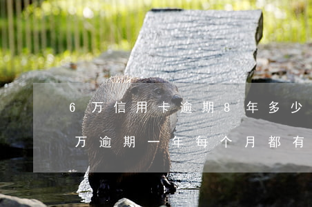 6万信用卡逾期8年多少钱(欠信用卡7.5万逾期一年每个月都有还)