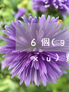 6個(gè)月免息分期(6期免息有手續(xù)費(fèi)嗎)