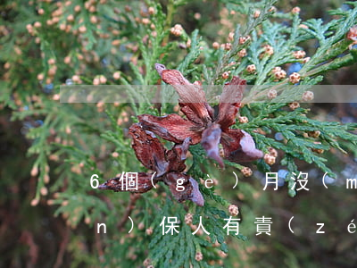 6個(gè)月沒(méi)起訴擔(dān)保人有責(zé)任嗎（逾期6個(gè)月未起訴擔(dān)保人）