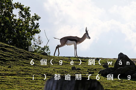 6個(gè)網(wǎng)貸平臺(tái)都逾期了 6個(gè)網(wǎng)貸平臺(tái)都逾期了會(huì)怎么樣