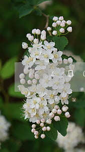 6個(gè)網(wǎng)貸逾期了會(huì)怎么樣(6個(gè)網(wǎng)貸逾期了會(huì)怎么樣)