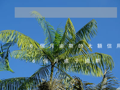 6個月逾期的大額信用卡要怎么還-信用卡6個月處于逾期