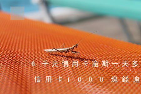 6千元信用卡逾期一天多少手續(xù)費(信用卡1000塊錢逾期6個月)