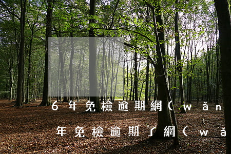 6年免檢逾期網(wǎng)上能辦理么(六年免檢逾期了網(wǎng)上領(lǐng)取免檢標(biāo)志成功了)