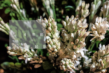 6年前信用卡欠6毛 欠信用卡六年了銀行還會起訴嗎?