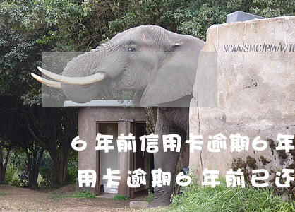 6年前信用卡逾期6年前已还清-6年前信用卡逾期6年前已还清还能用吗