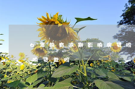 6年前有逾期影响房贷吗(5年内逾期6次影响贷款吗)