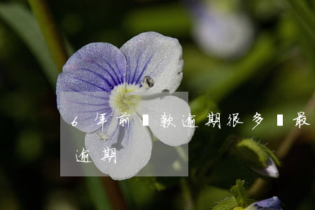 6年前貸款逾期很多筆(最近5年有6個月有逾期)
