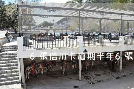 6張信用卡逾期半年（6張信用卡逾期半年）