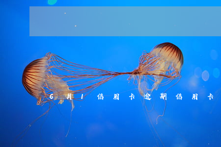 6月1信用卡逾期(信用卡60块钱逾期)