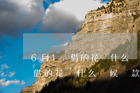 6月1號借的花唄什么時候還款-6月1號借的花唄什么時候還款呢