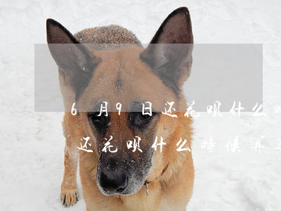 6月9日还花呗什么时候算逾期-6月9日还花呗什么时候算逾期了