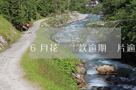 6月花唄還款逾期圖片(逾期花唄的圖片)