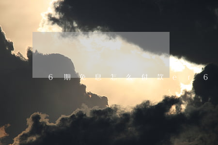 6期免息怎么付款（er6分期免息）