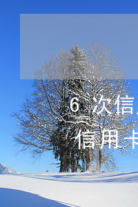 6次信用卡逾期做了房貸經(jīng)歷（信用卡有多次逾期房貸）