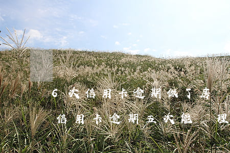 6次信用卡逾期做了房貸經(jīng)歷（信用卡逾期五次能辦理房貸）
