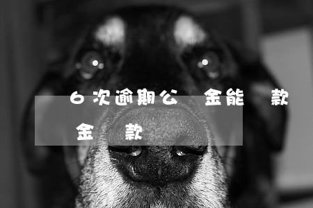 6次逾期公積金能貸款嗎(五次逾期可以公積金貸款嗎)