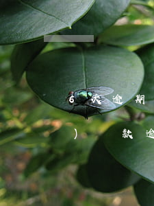 6次逾期商業(yè)貸款行嗎(商業(yè)貸款逾期一次影響大嗎)