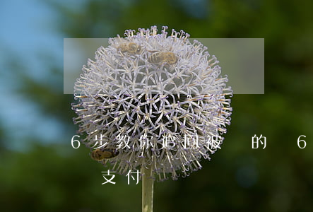 6步教你追回被騙的錢(6步教你追回被騙的錢支付寶)
