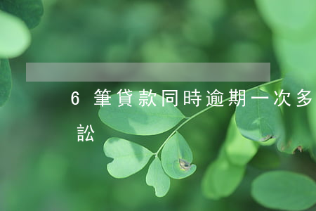 6筆貸款同時逾期一次（多筆貸款逾期涉及訴訟）