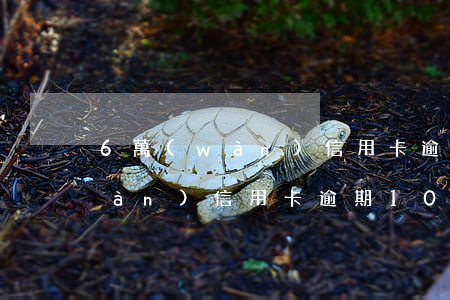 6萬(wàn)信用卡逾期10天(6萬(wàn)信用卡逾期10天了)