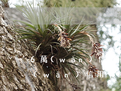 6萬(wàn)信用卡逾期利息是多少（6萬(wàn)信用卡逾期5天利息多少）