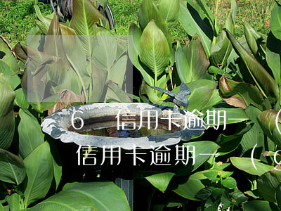 6萬信用卡逾期一個(gè)月利息-6萬信用卡逾期一個(gè)月利息多少