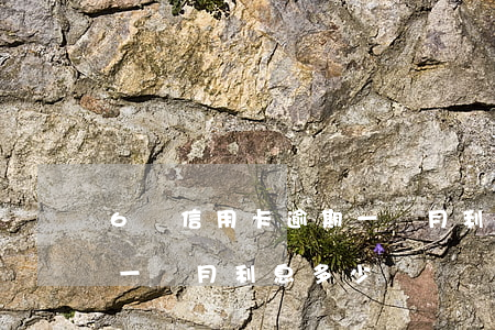 6萬信用卡逾期一個月利息 6萬信用卡逾期一個月利息多少
