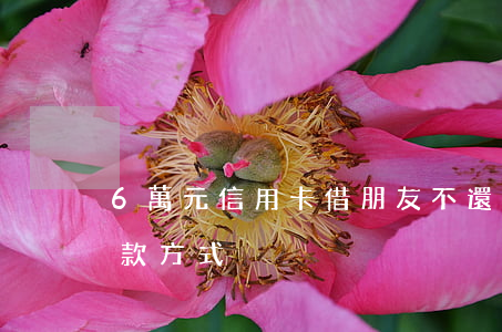 6萬元信用卡借朋友不還錢(借5萬信用卡還款方式)